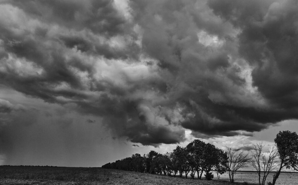 Rain under stormy clouds behind a row of trees