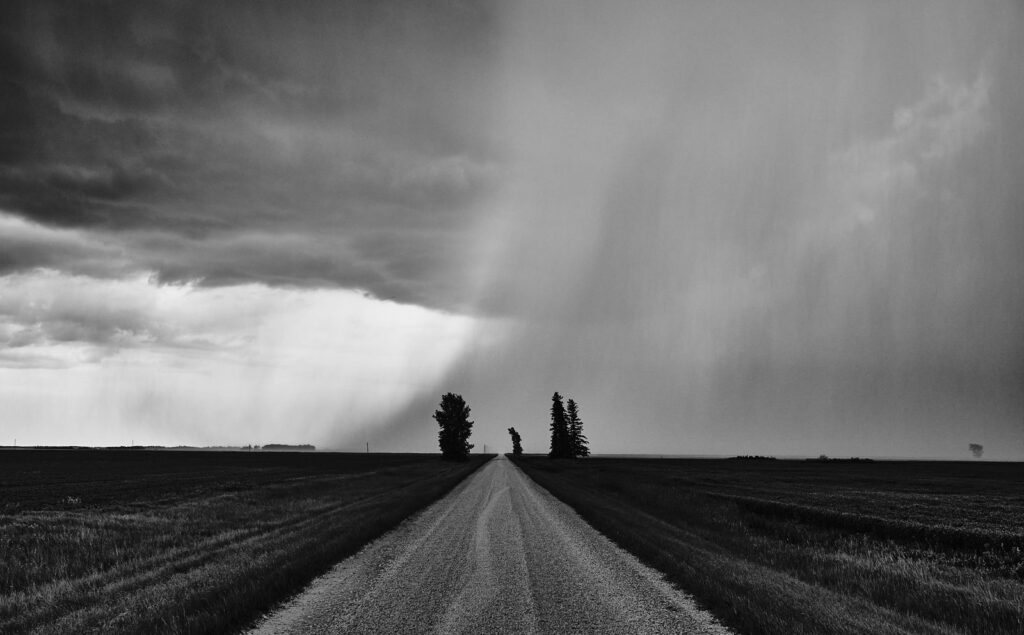 Rain falling behind a gravel road and two trees