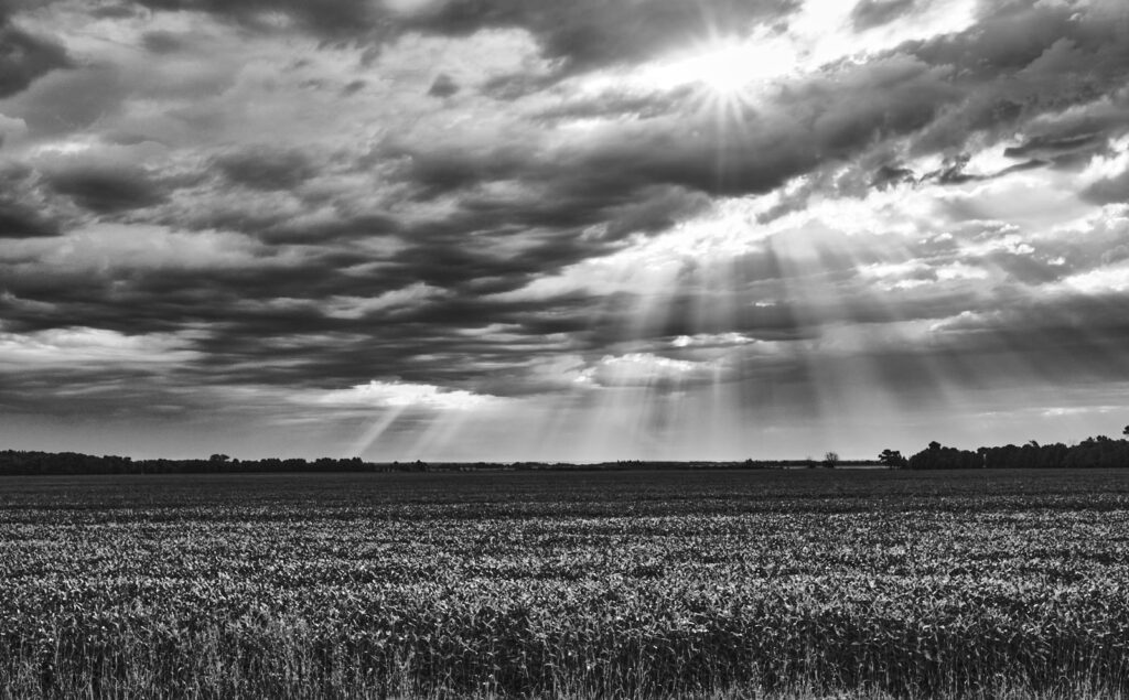 Rays of light through the clouds over a wheat field