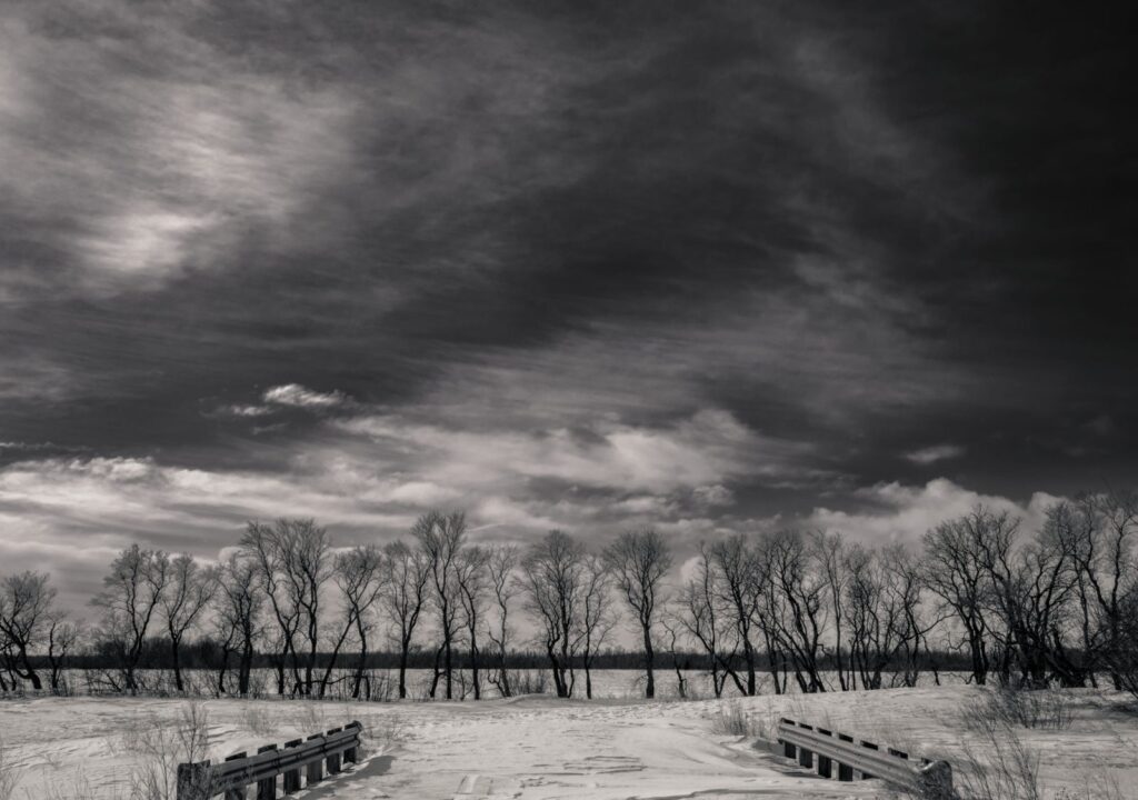 Dramatic clouds over a row of bare trees by the water