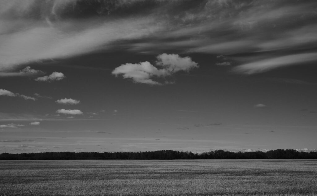 Wisps of cloud over a wide prairie field