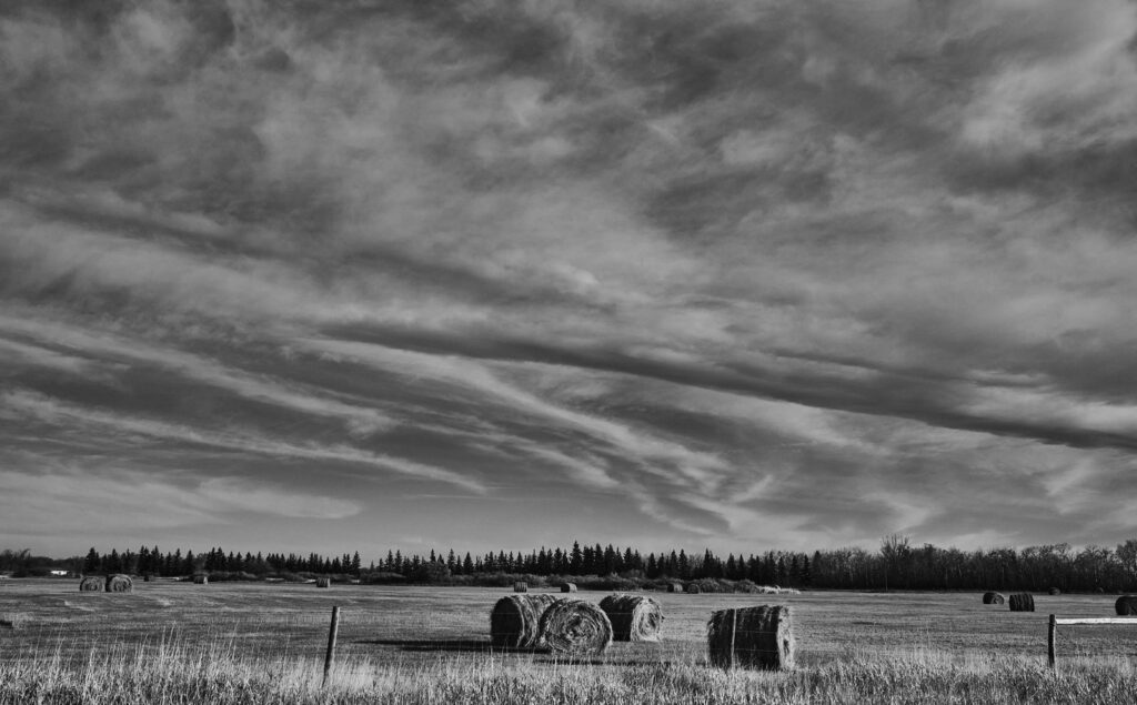 Streaks of cirrus cloud over round hay bales