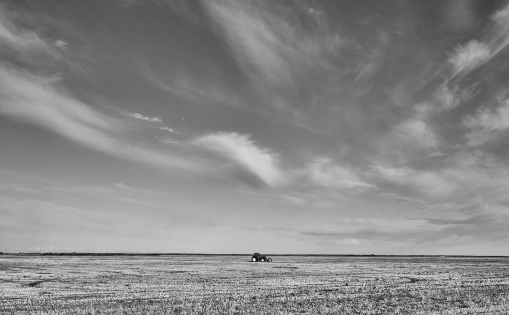 Wispy clouds over a stubble field