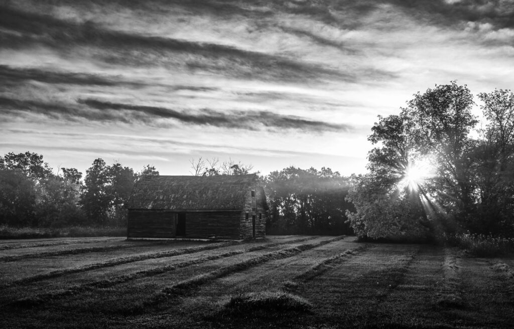 The sun low behind trees on a quiet farm