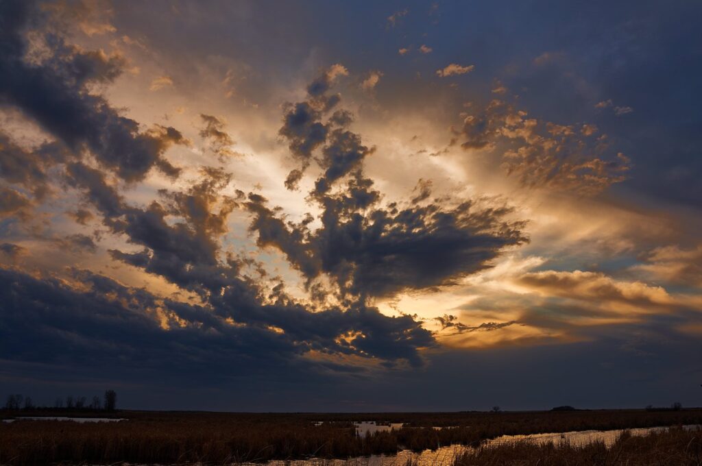 Gold and blue storm clouds breaking over open marsh