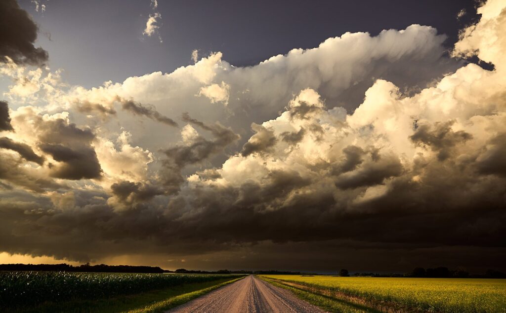 Bright cumulus towers over a gravel road and a yellow canola field