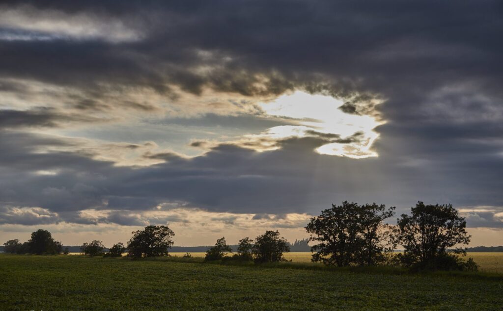 Dark clouds with a break of light above trees on the prairie