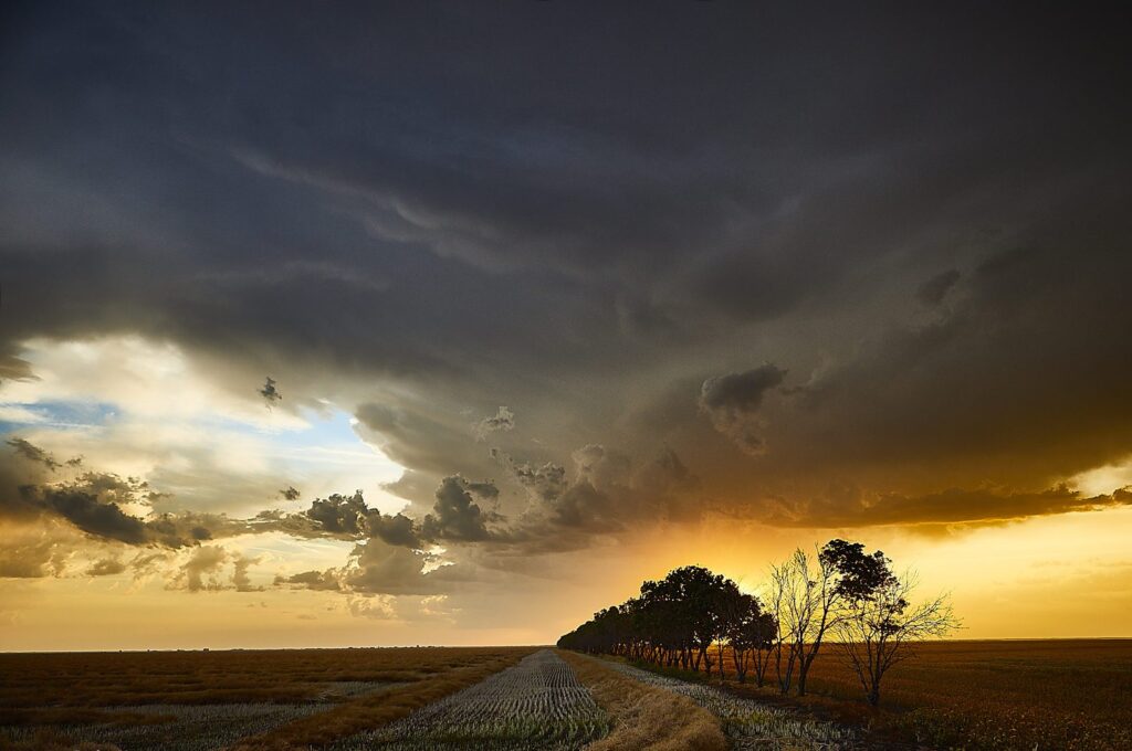 Dark storm clouds and a golden break over a field and a gravel road