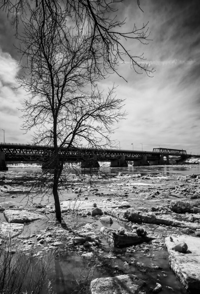 Bare tree on the riverbank with a bridge and broken ice behind it