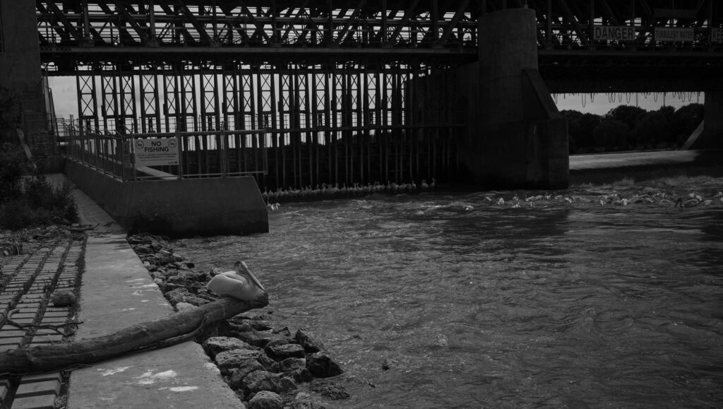 Steel bridge girders over fast water with a log on the bank