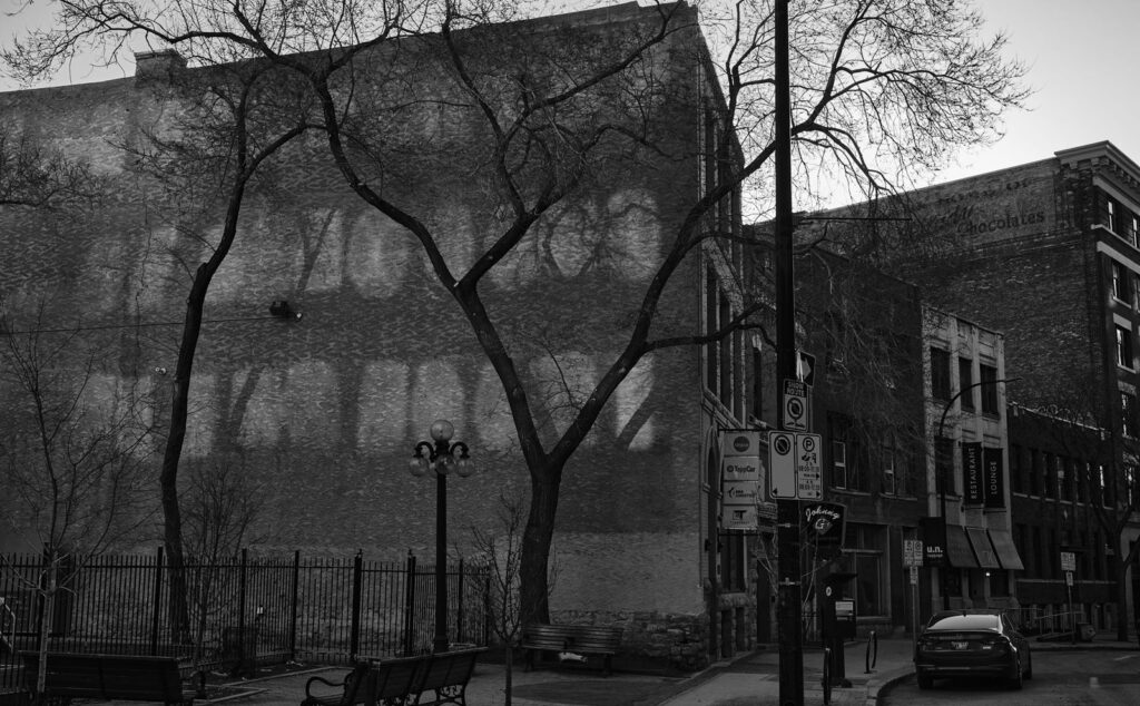 Downtown street corner with bare trees, a mural wall, and a parked car