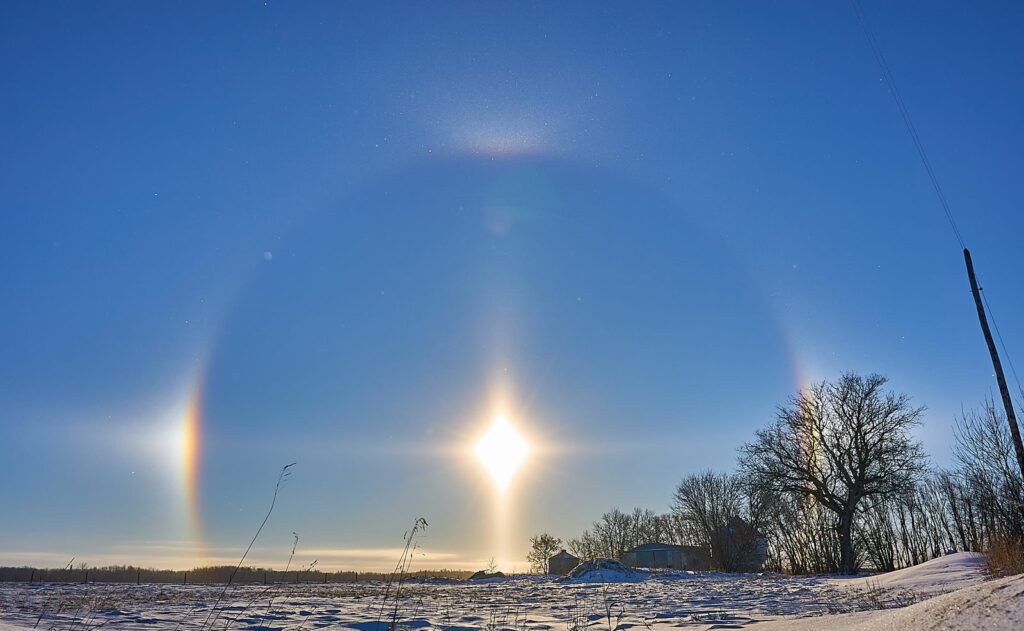 Sun dogs and a full halo around the sun over a snowy field with a bare tree