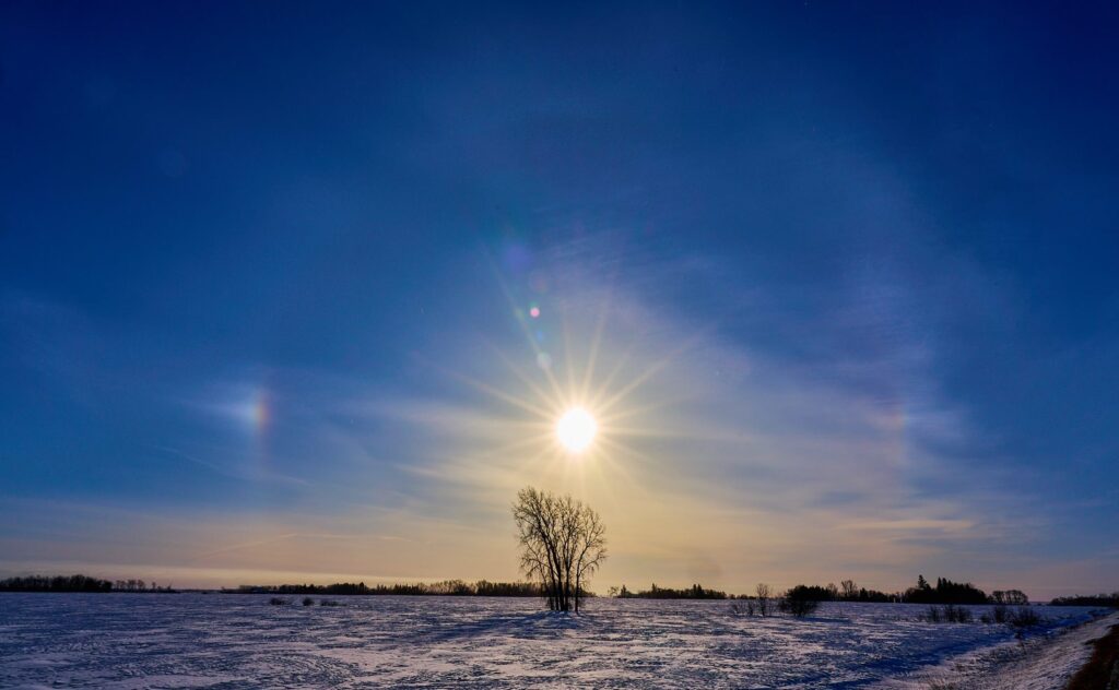 Sun with sun dogs over a snowy field and a lone tree