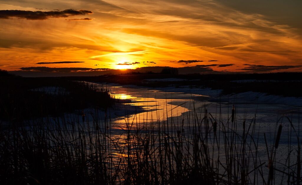 Sun setting over a frozen creek and cattails