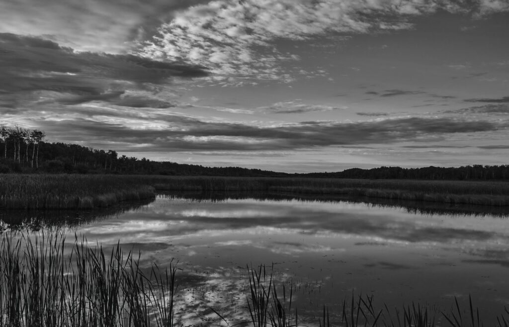 Cloud-streaked sky reflected in a still marsh channel with cattails