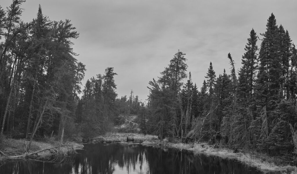 Dark river bend lined with tall pines reflected in still water