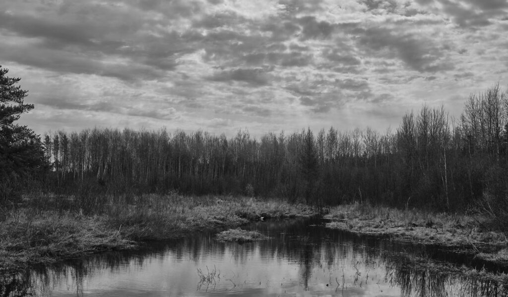 Still water in a spring marsh beneath a patterned sky