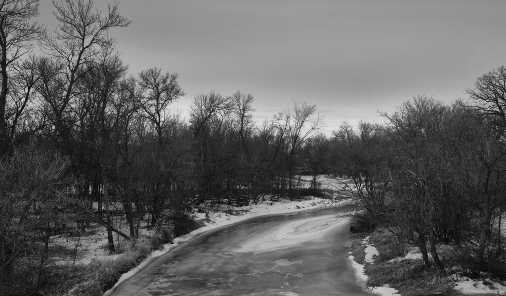Icy creek winding through bare trees in early spring