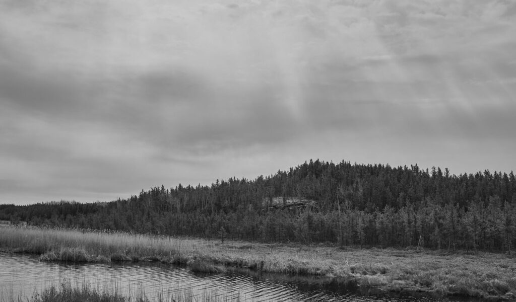 Forested rocky hill beyond a reedy lake shore