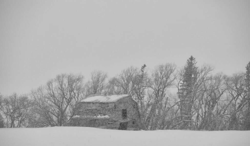 Abandoned farmhouse in a snowy field, seen through the trees