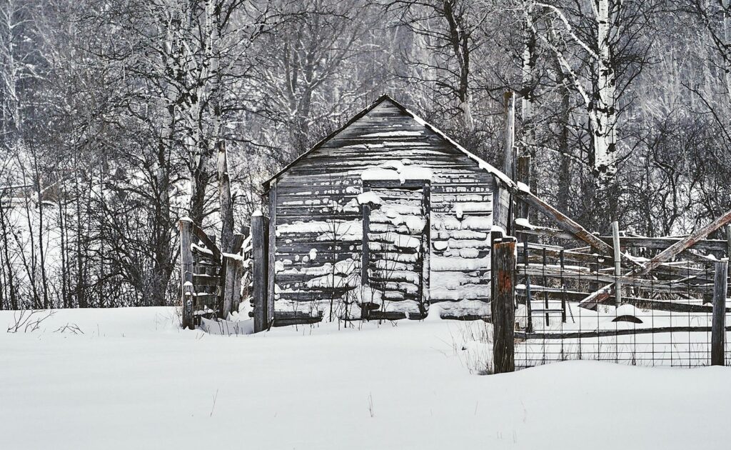 Old log outbuilding covered in snow beside a fence