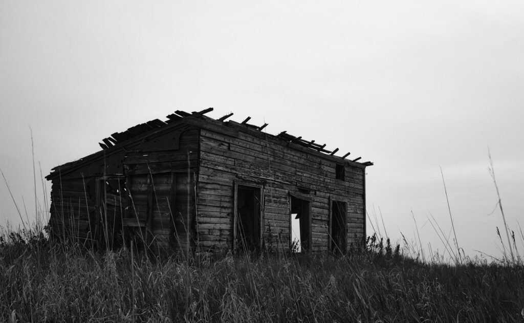 Collapsing wooden shed in tall prairie grass