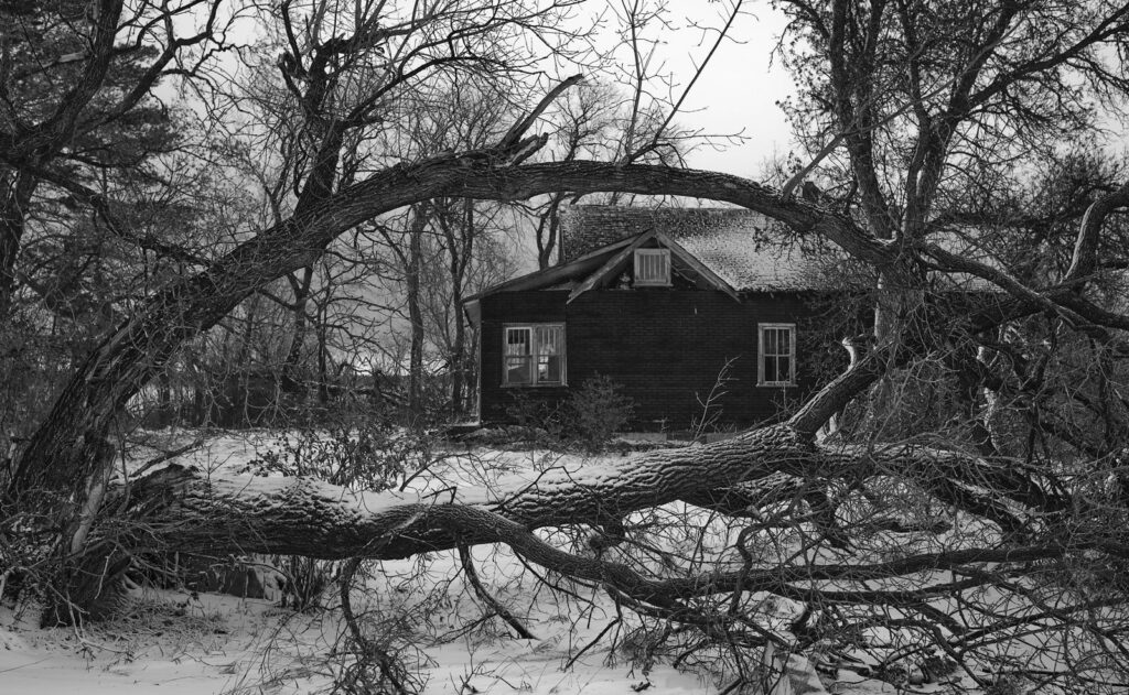 Abandoned farmhouse behind a fallen tree in the snow