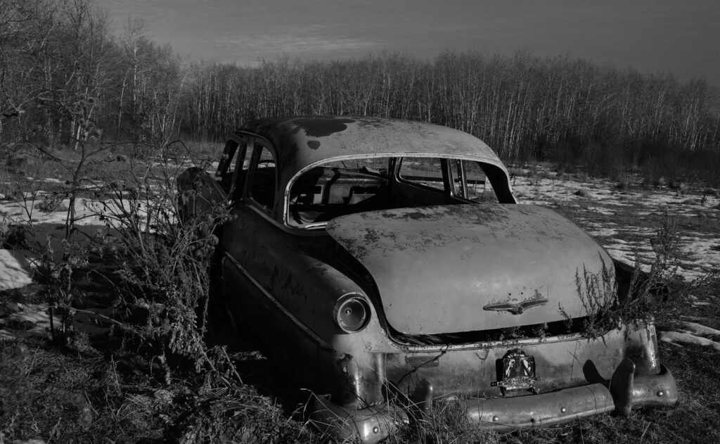 Rusting car wreck in the bush