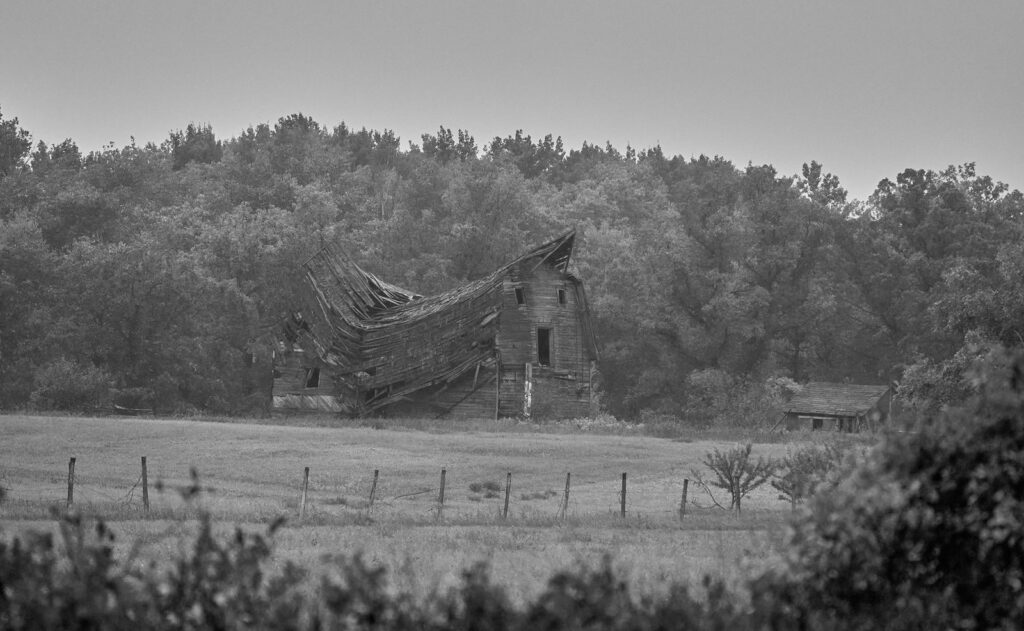 Collapsed barn on a hillside above a fence line