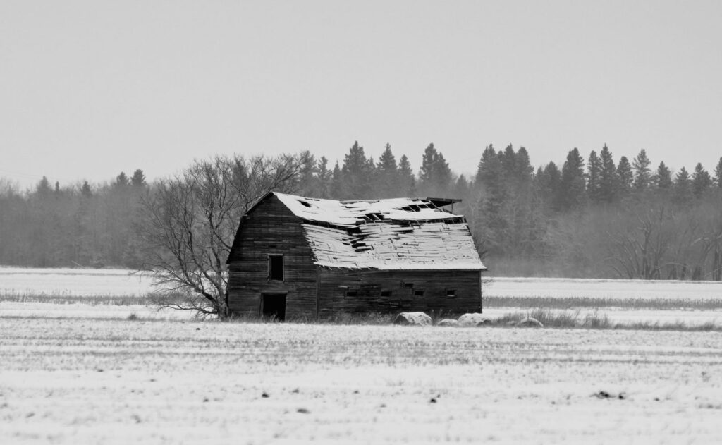 Leaning barn with a sagging roof in a snowy field