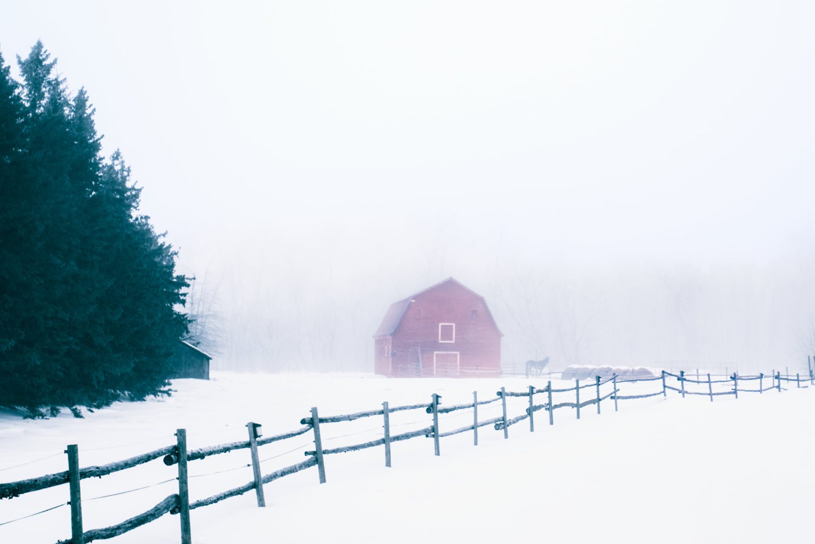 Red barn in snowy fog behind a split-rail fence