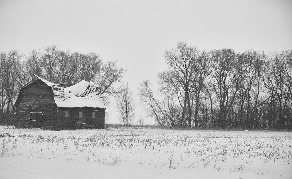 Weathered barn and bare trees in a snowy field, in black and white